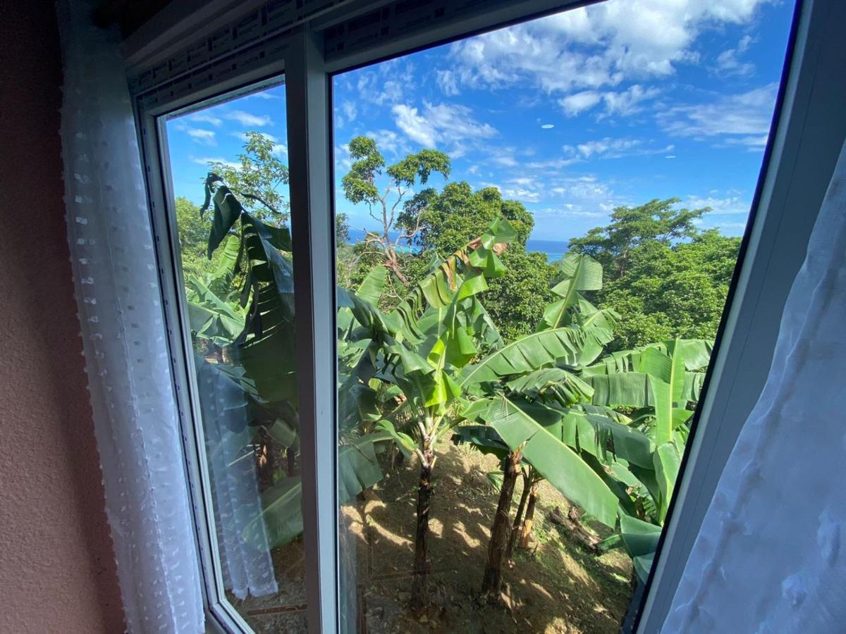 Forest View Apartment Six Huts Ngoại thất bức ảnh